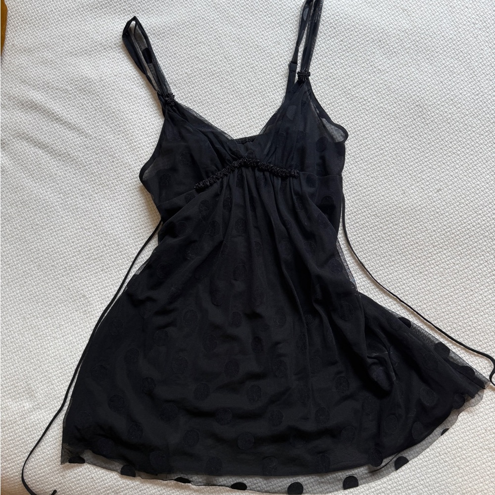 Polka Dot Sheer Dress
